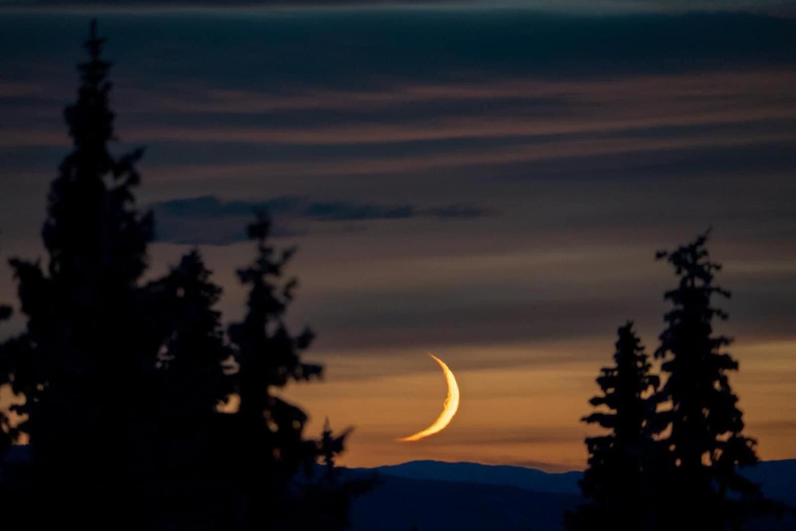 Nordseter Fjellpark, Hyttegrend ภายนอก รูปภาพ